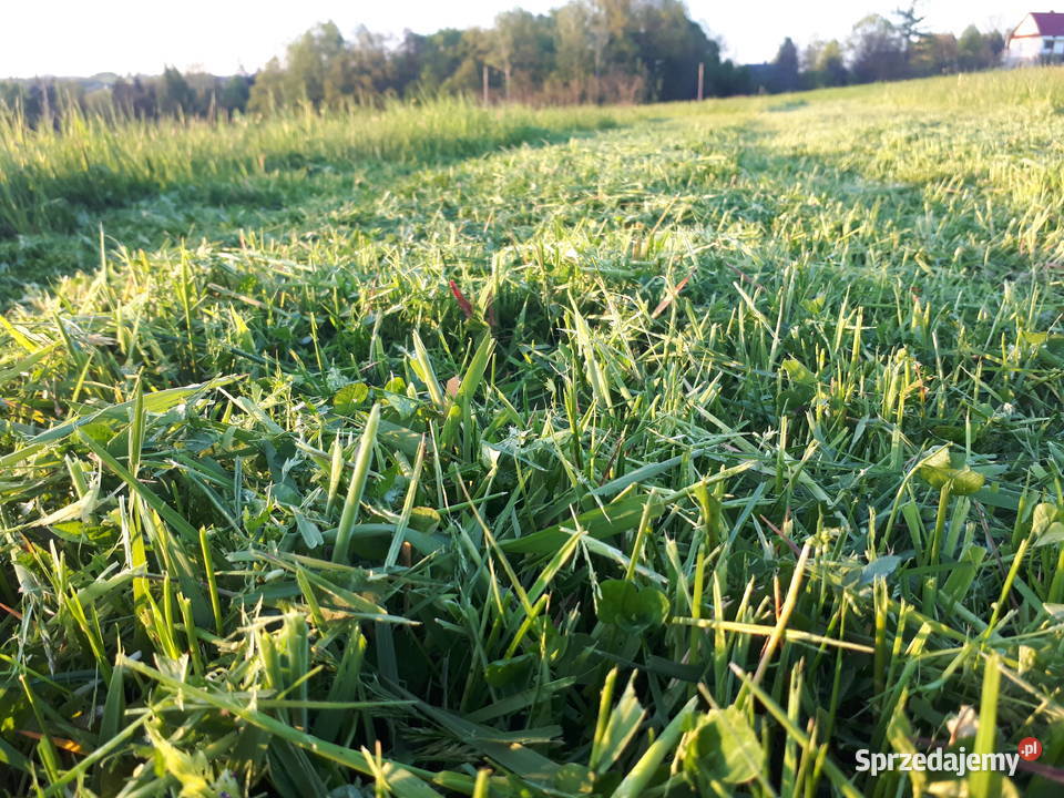 Kosiarka bijakowa do KUBOTA model F TEG SPECIAL nieuszkodzony