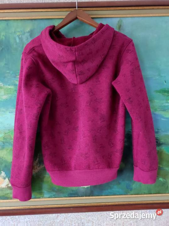 bluza z kapturem kangurka z kieszeniami z przodu kolorowy Kielce
