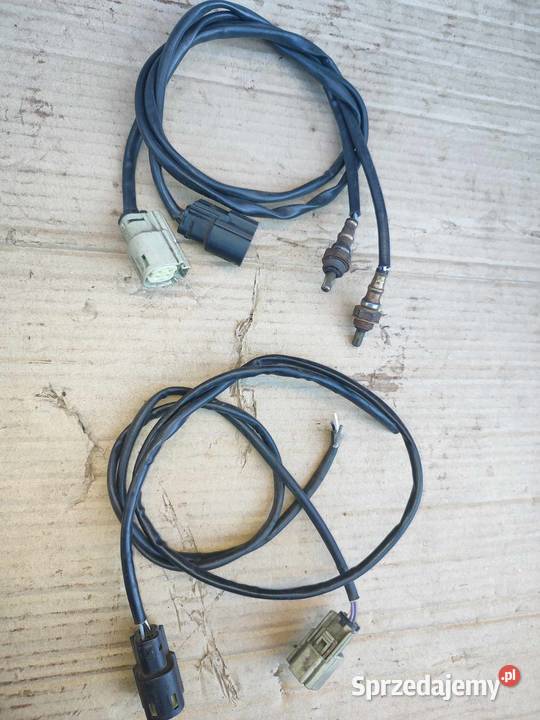 harley sondy Głogów Małopolski