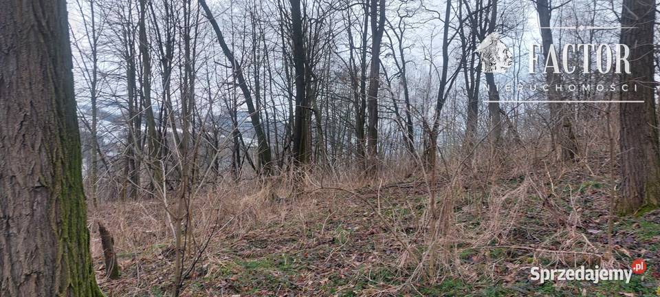 Sędziszowa działka budowlanorolna 08 ha sprzedam