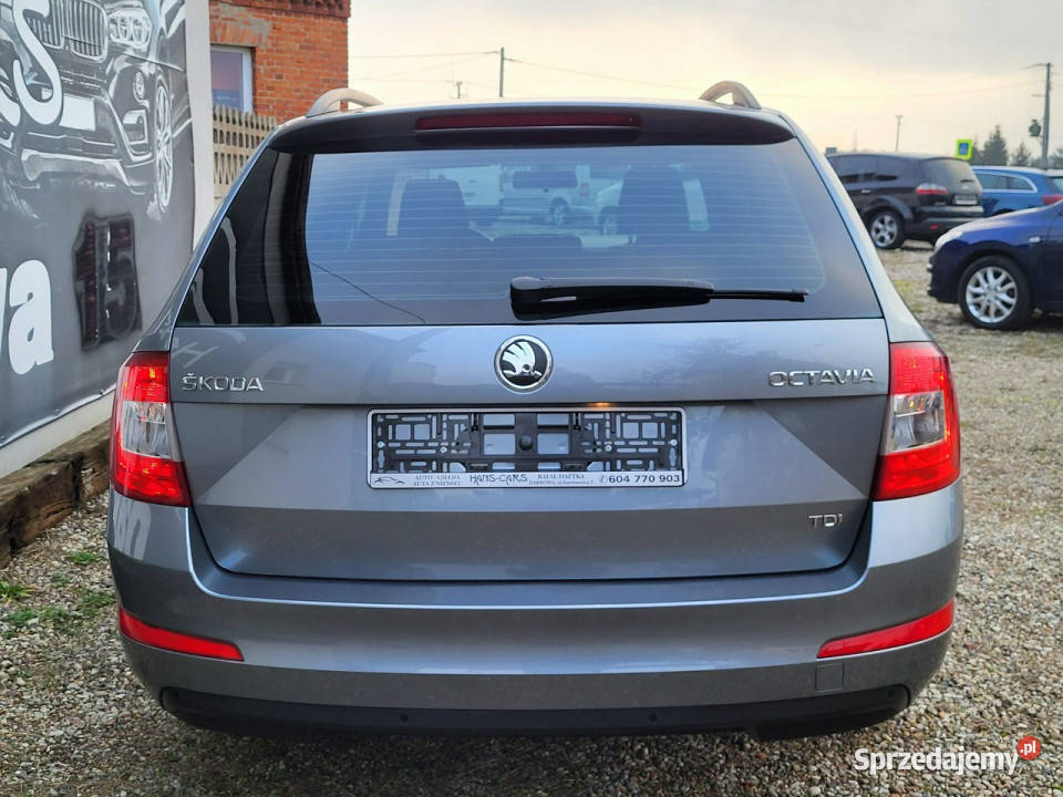 koda Octavia DSGaluserwissuper stanz Niemiec III Octavia Dąbrowa