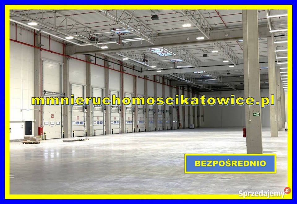 Magazyny do wynajęcia śląskie Katowice DTŚ rampy Wynajem
