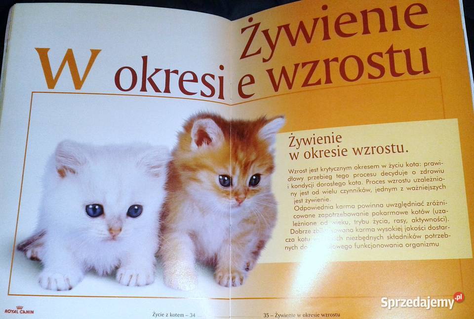 Życie z kotem Opieka i wychowanie Renner Lenfant sprzedam