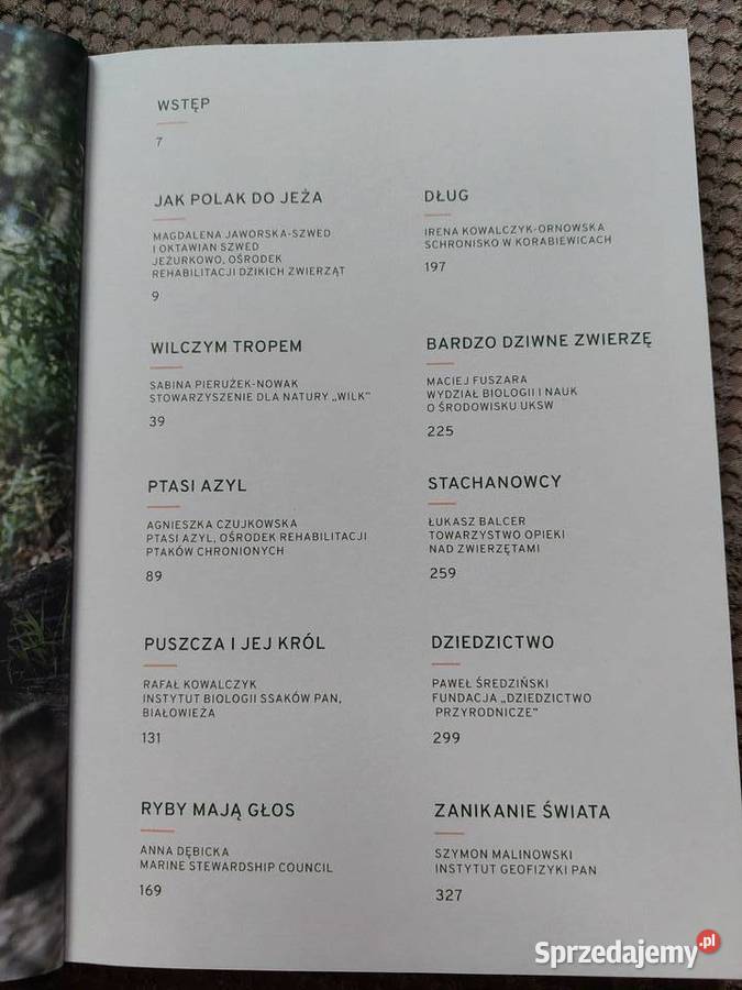 nowa Marcin Dorociński Na ratunek Kraków