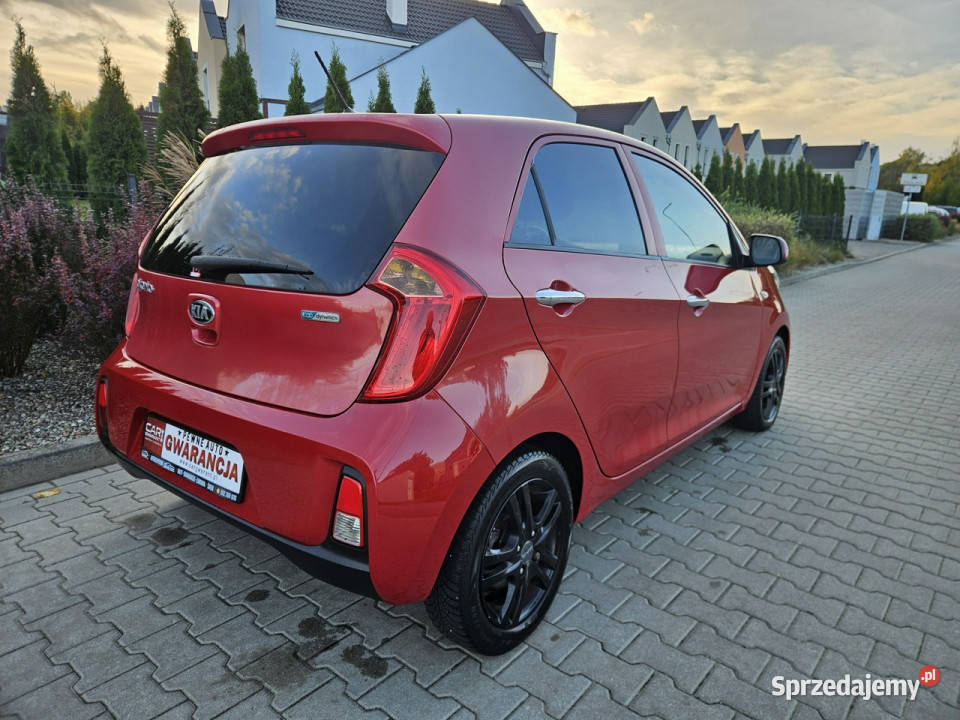 Kia Picanto Zadbany Lift Oryg73 Rata500 II 2011 nieuszkodzony wielkopolskie Śrem