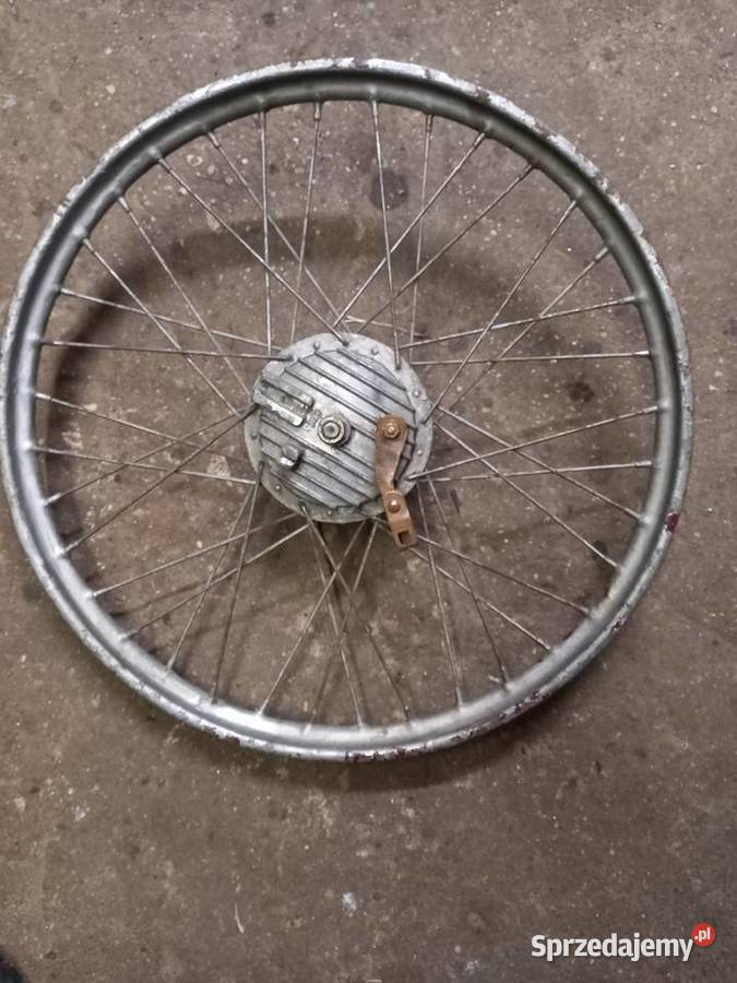 Kolo zak rys Sokołów Podlaski