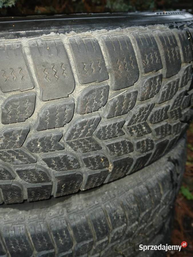 Koła Zimowe Polo Fox Końskie