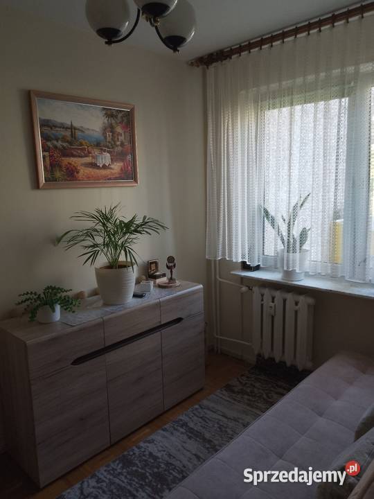 Słoneczne 4 pokoje z ogródkiem parter wysoki Zamość