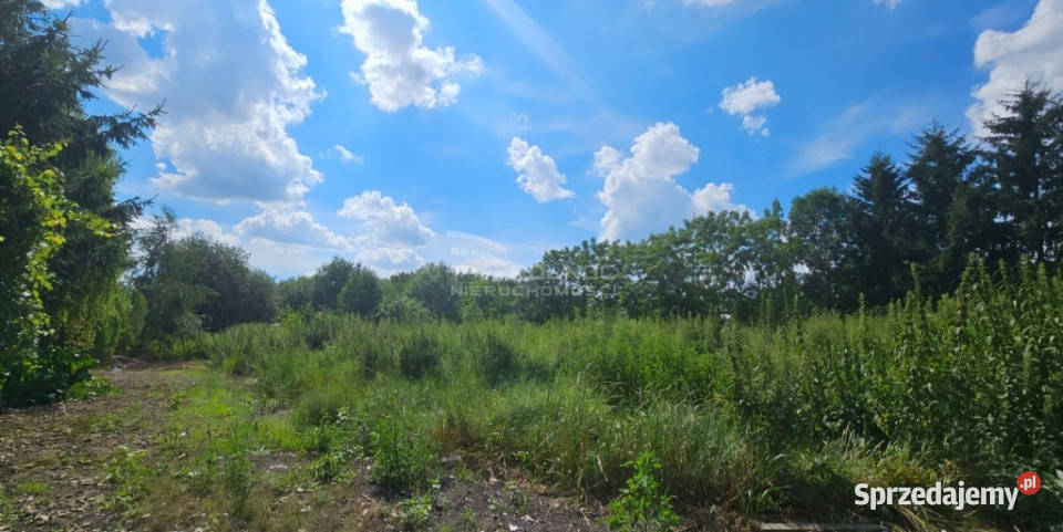 Działka budowlanoinwestycyjna na sprzedaż asfalt Kazimierzówka