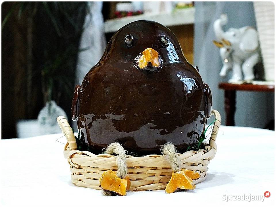 Duże grube ptaszysko Boczunio w gnieździe szuka