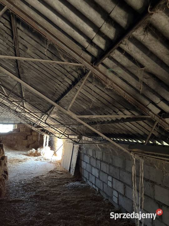 Kostrukcja dachu 12x42 Suchy Las