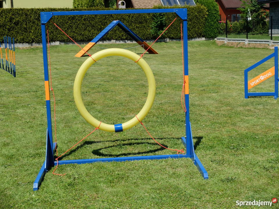 Koło do agility (nowe)
