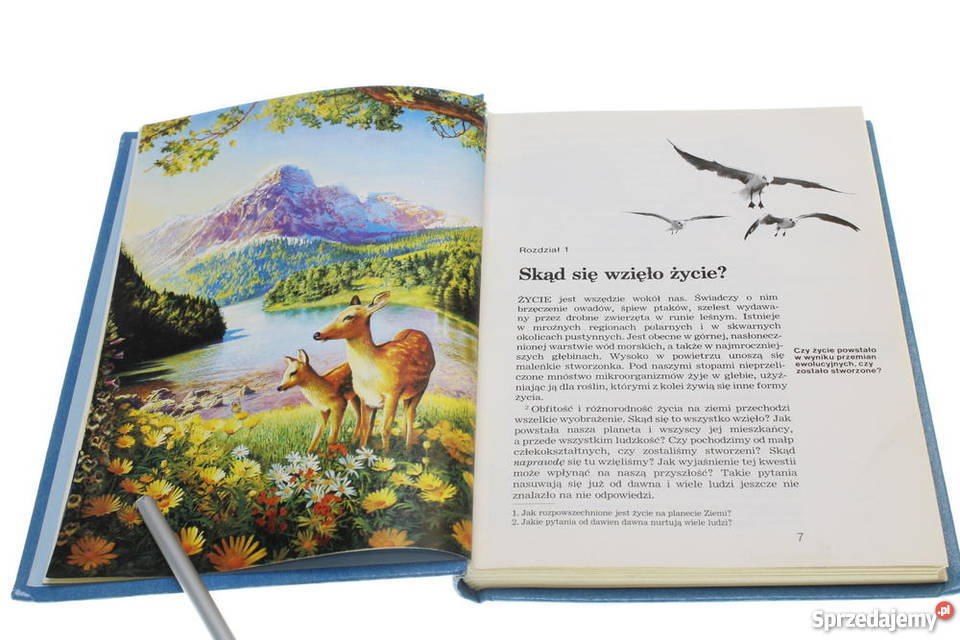 powstało życie O Goleniów