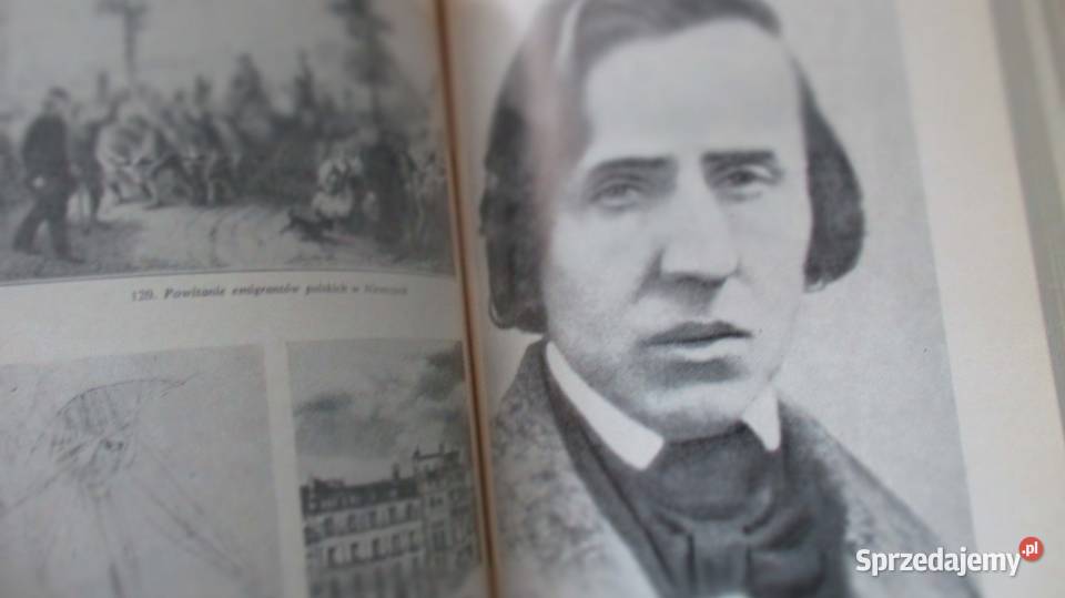 Literatura polska średniowiecza do pozytywizmu Łódź sprzedam