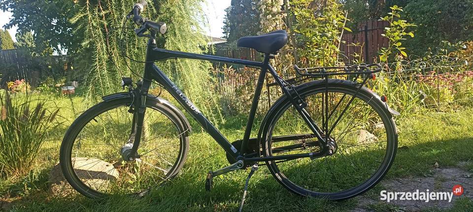 Rower PEGASUS TORINO Pionki