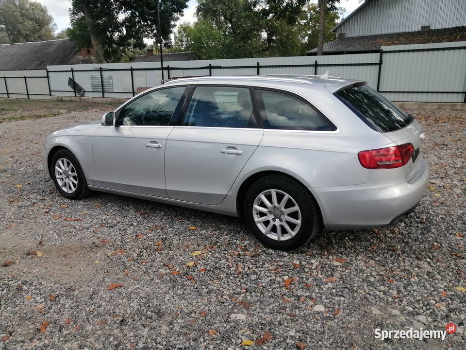 B 8 Skóra Navi Kamera kamera cofania Terespol