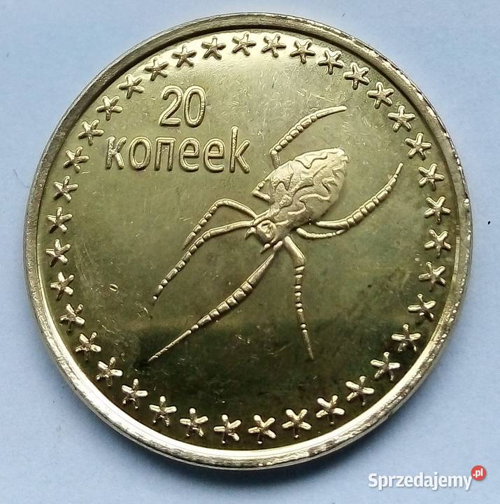 CZECZENIA20 KOPIEJEK2013 r PAJĄKŁADNA2 Legionowo