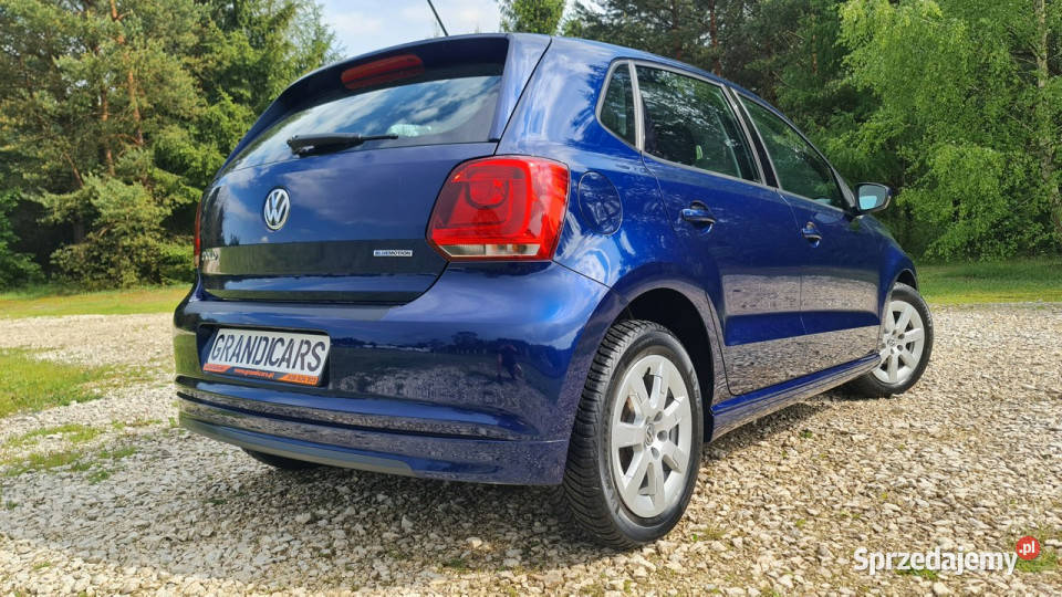Volkswagen Polo 12 TDI Bluemotion Trendline 4/5 świętokrzyskie