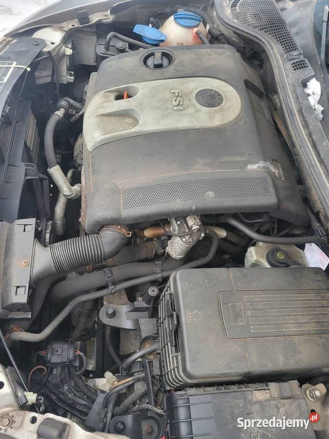 Osobowe Skoda Oktawia 16B produkcji 2007 Do samochodów osobowych Przyczepy i naczepy