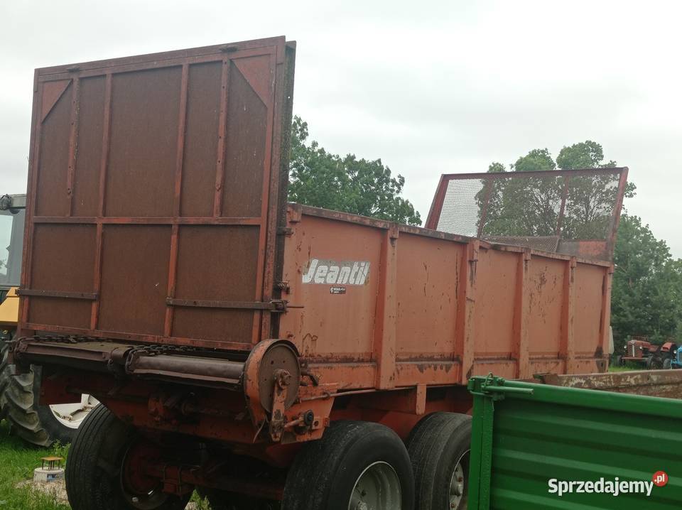 Rozrzutnik mazowieckie Stara Kornica