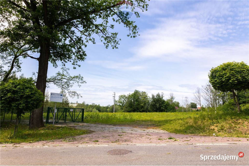 BLACK WEEKS nieruchomość usługowa DK52 Bulowice