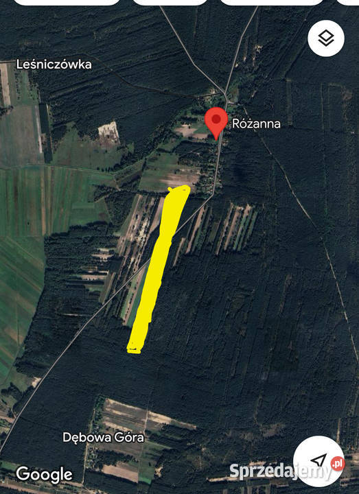 Sprzedam las sosnowy 202 ha Różanna sprzedam