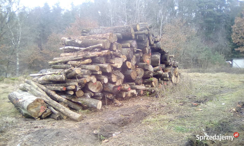 TANIE DREWNO KOMINKOWE I OPAŁOWE TRANSPORT Opał Kołobrzeg sprzedam