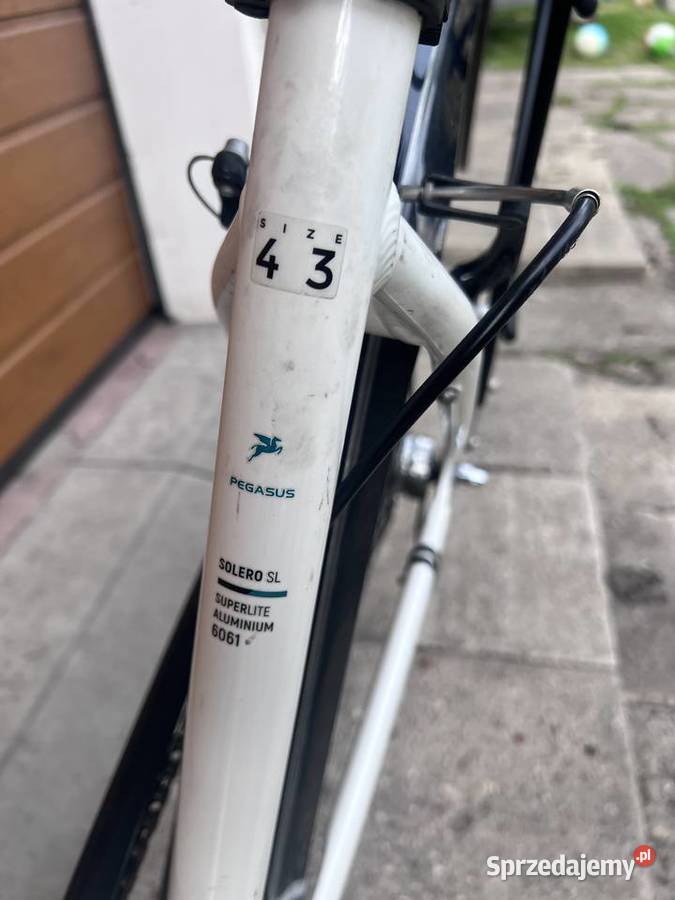 Rower Pegasus Solero SL Ostrów Wielkopolski