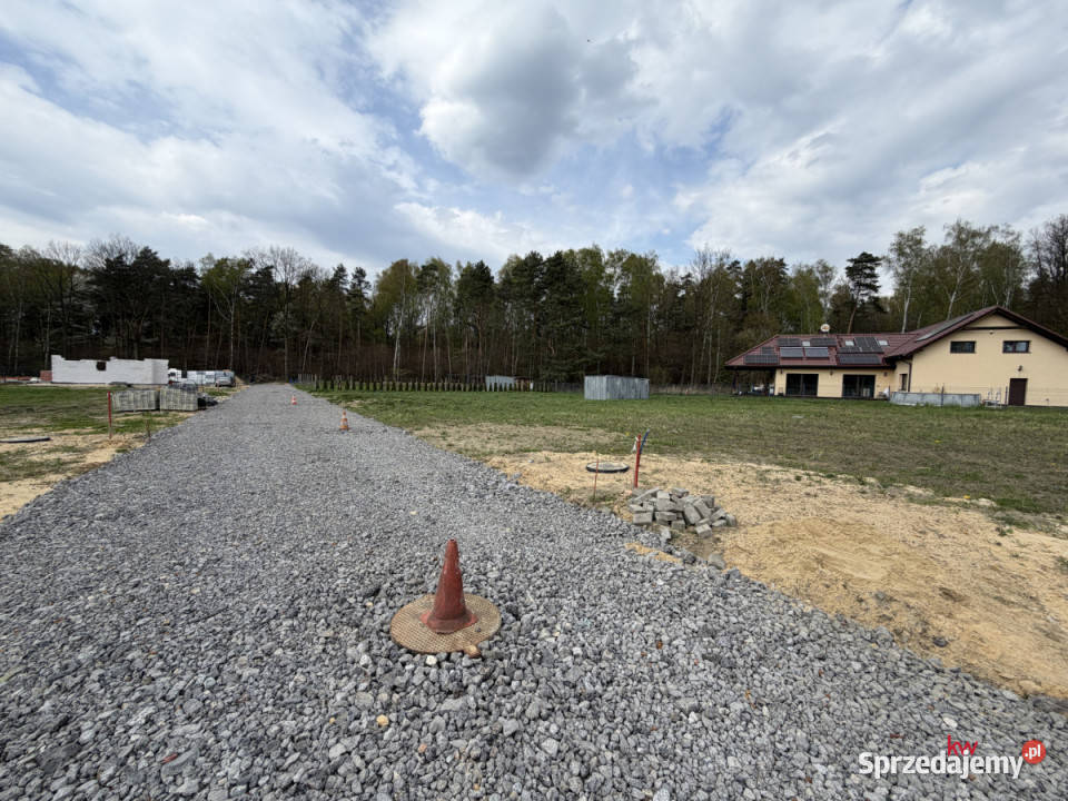 Działka Orzesze Pasieki 702m2 gaz
