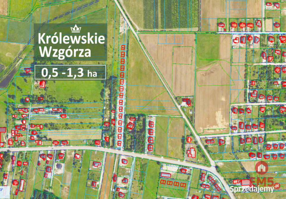 Działkę sprzedam 10000m2 Nowe Aleksandrowo telefon Sprzedaż