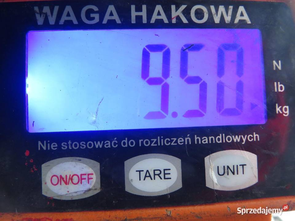 WAŁ NAPĘDOWY TYLNY PATHFINDER R51 40 małopolskie