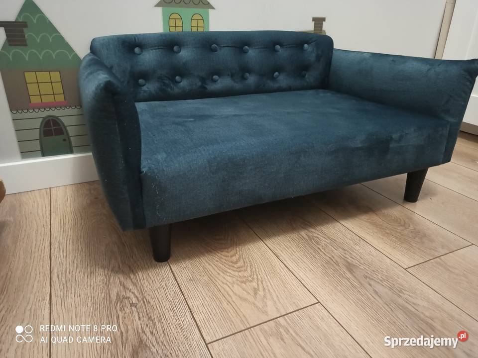 Sofa psa z własnego projektu Olsztyn