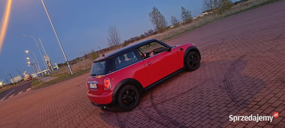 Sprzedam Mini Turek