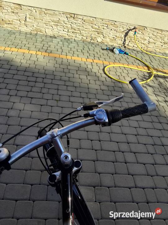 Rower Pegasus aluminiowy