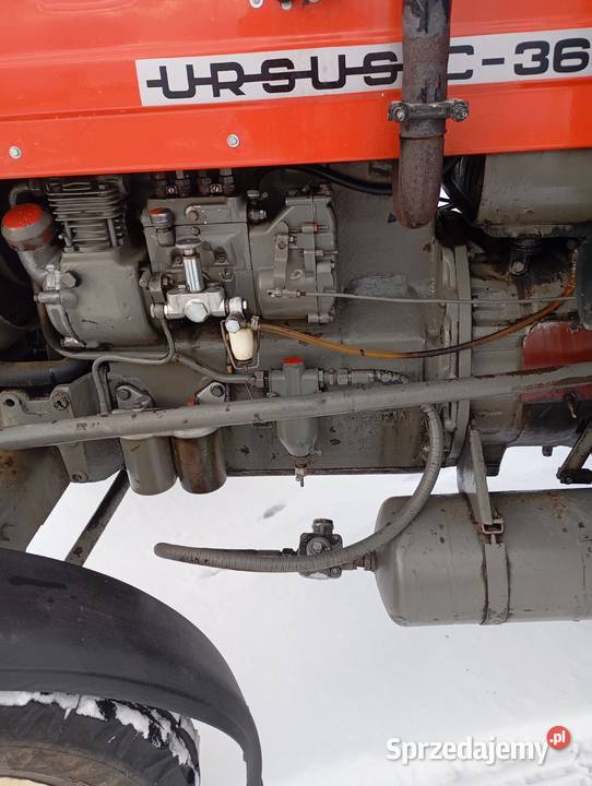 C360 Dworszowice Kościelne