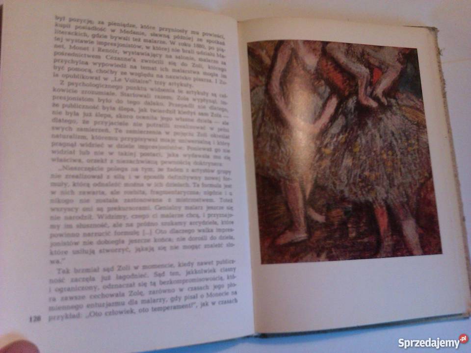 IMPRESJONIŚCI JOANNA GUZE FA Goleniów sprzedam