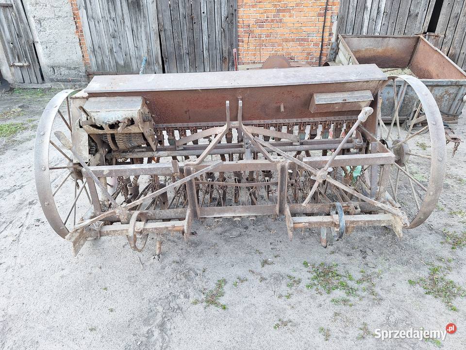 Siewnik Ślązak Kaczanowo