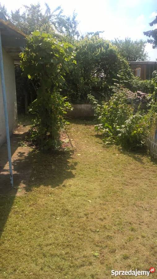 Pod lasem działka Wrocław sprzedam