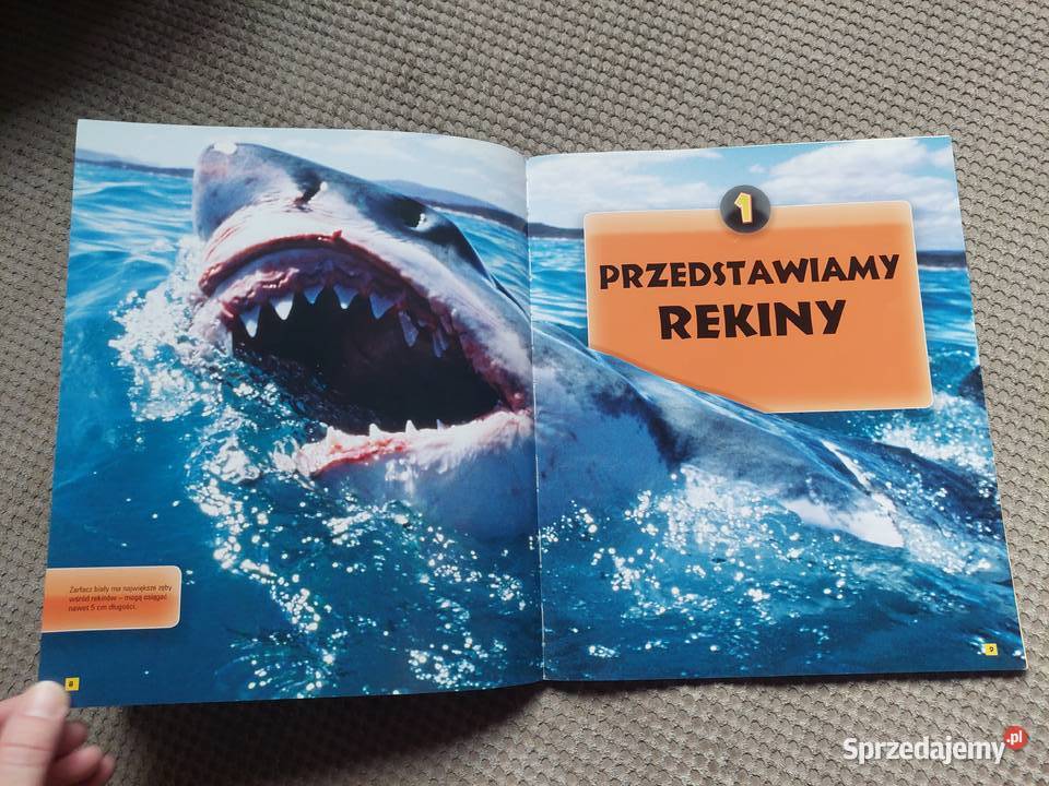 National Geographic Kids Wszystko o rekinach miękka Książki dla dzieci małopolskie Kraków