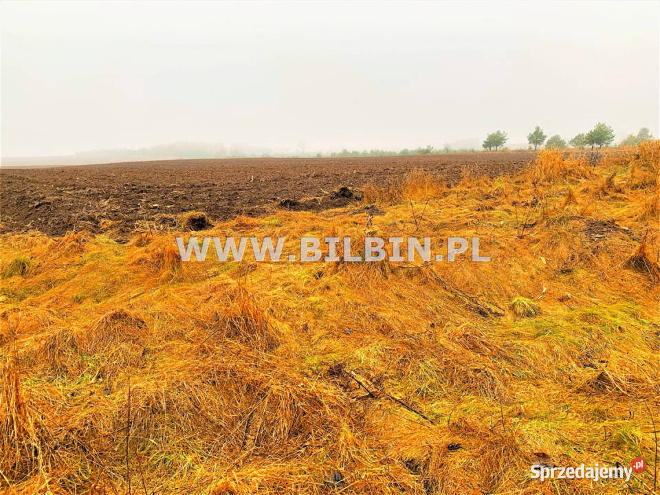 Grunt Suwałki 3607m2 3607m2 podlaskie