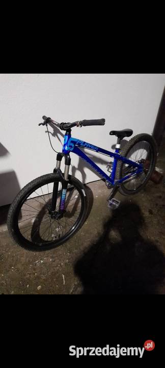 Dartmoor two6player short 2019 Nowy Sącz sprzedam