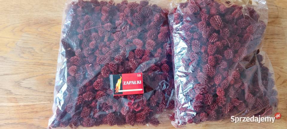 Susz naturalny egzotyczny hurt ponad 3 Pozostałe sprzedam