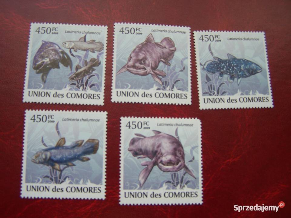 Komory 2009 MNH Fauna Ryby Latimeria 5v set Tychy
