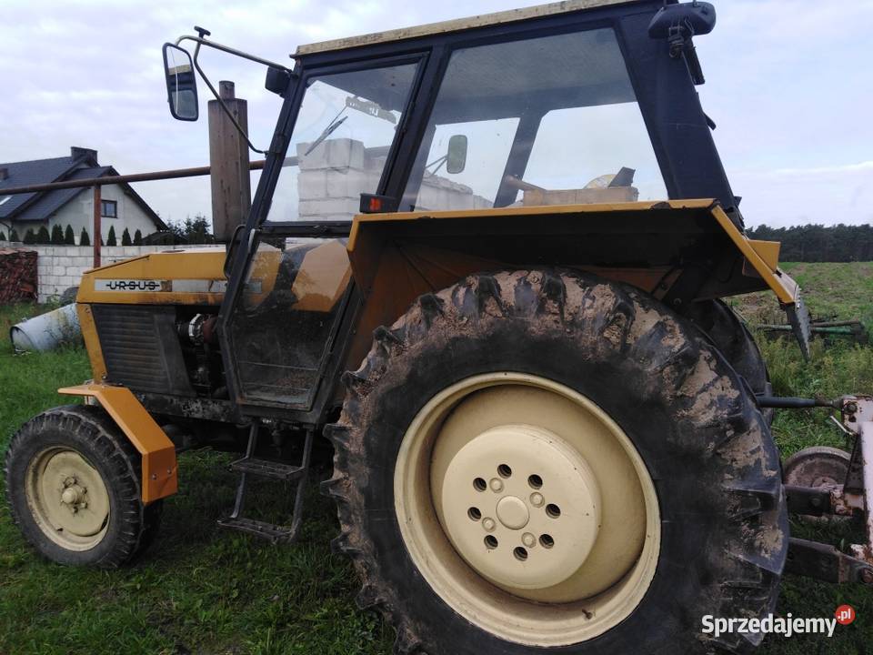 Sprzedam ciągnik rolniczy Ursus 1012 r 1984 wielkopolskie Włoszakowice