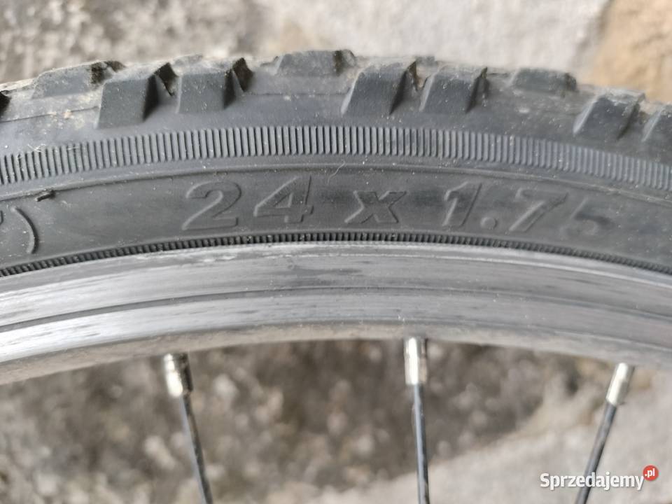 Leopard space cat biało siwy rower chłopięcy Urszulin