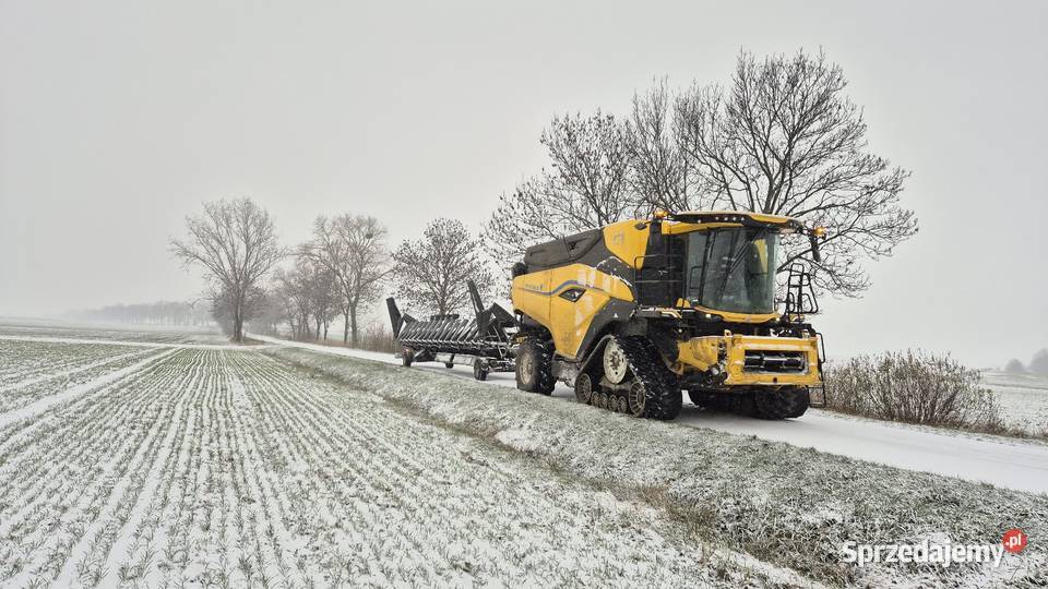 Koszenie kukurydzy opolskie cr11 Niemodlin