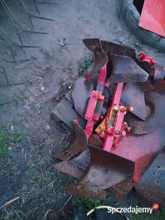 Przedpłużki pługa huard kuhn kukurydziane Łanięta