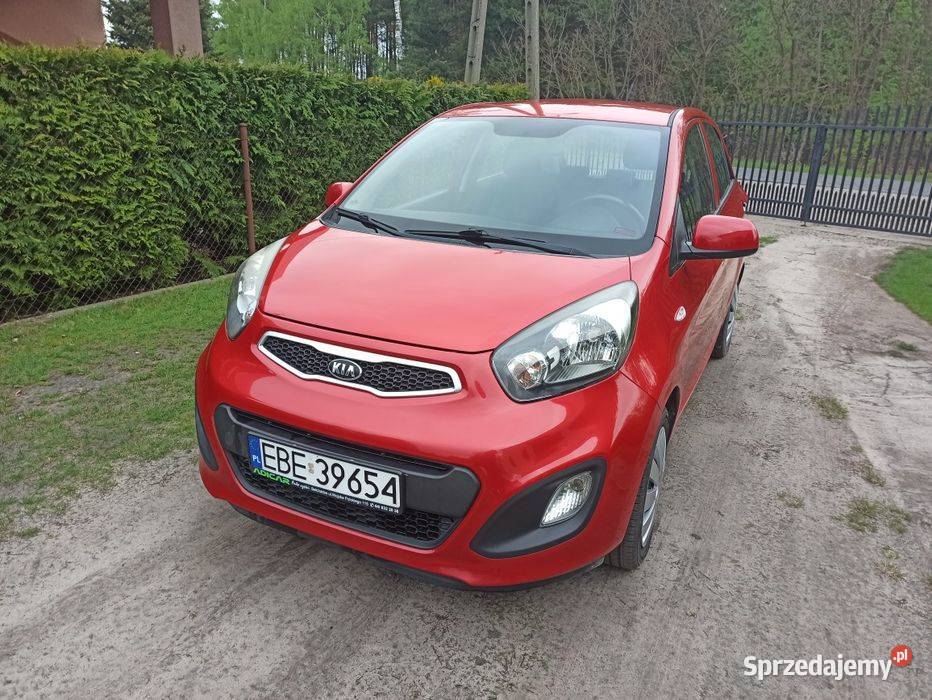 Kia Picanto Zadbany bezwypadkowy łódzkie Bełchatów