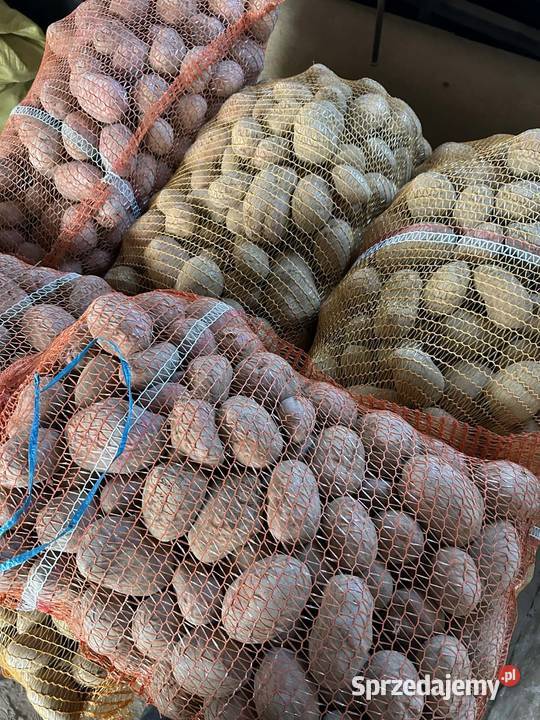 czerwone ziemniaki jadalne