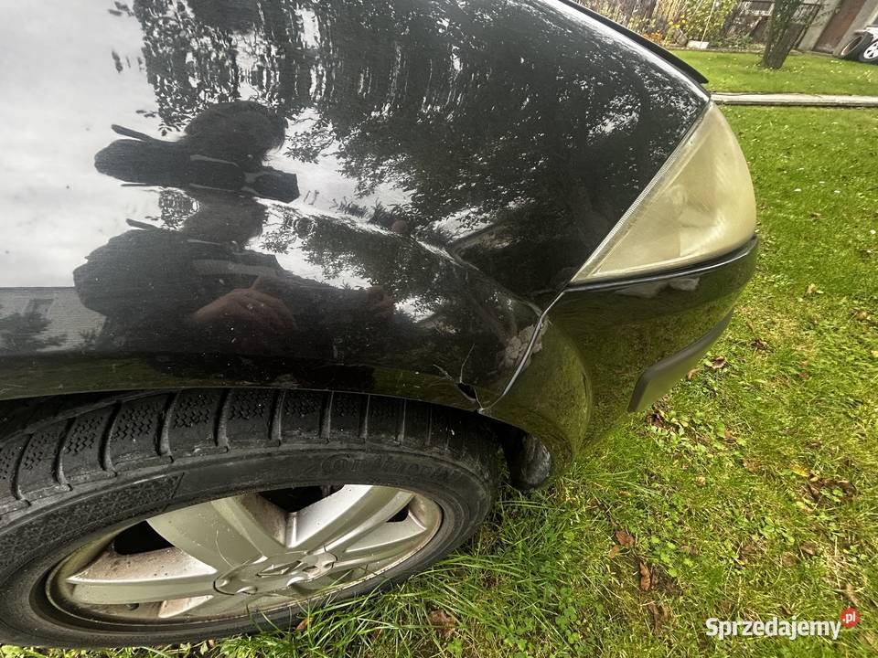 Renault Megane rocznik 2005
